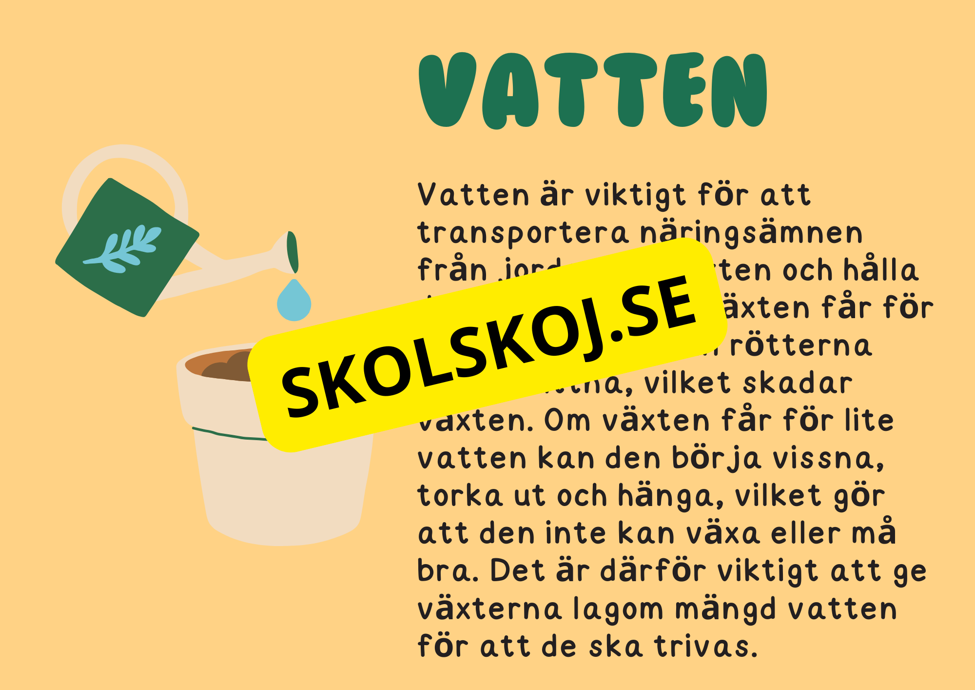 Växternas liv - Häfte - Årskurs 3 - 6