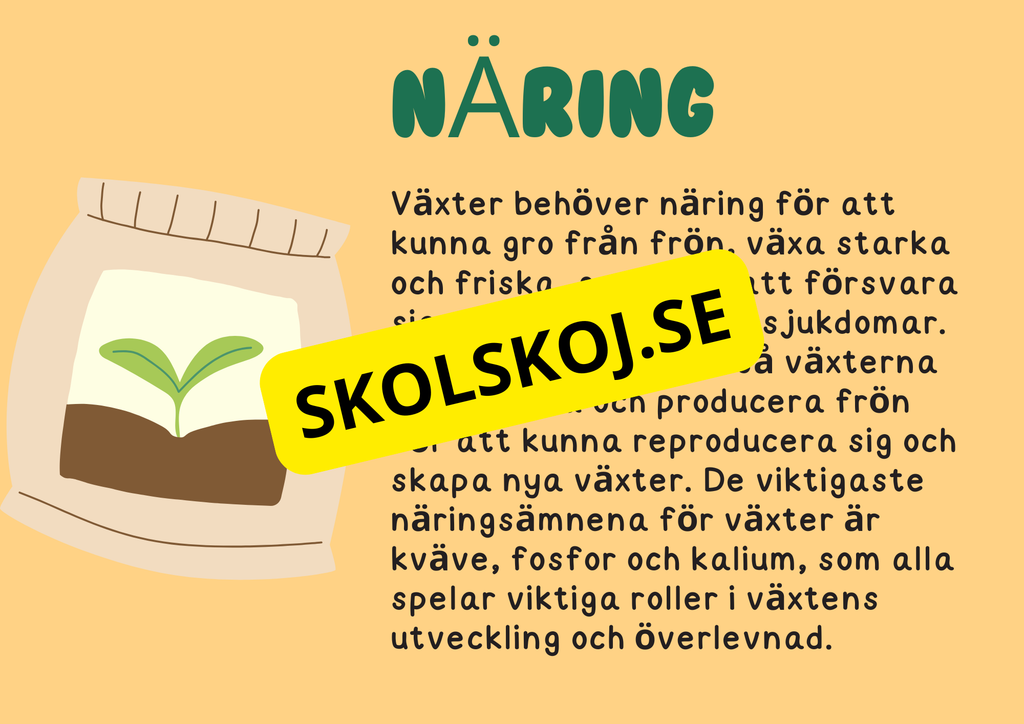 Växternas liv - Häfte - Årskurs 3 - 6