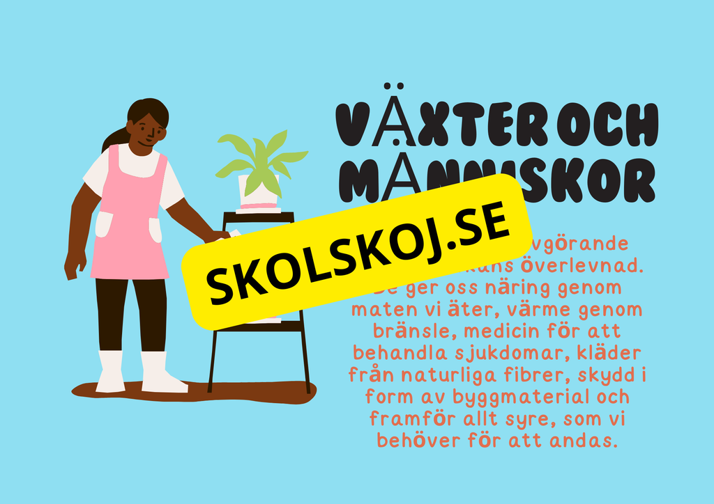 Växternas liv - Häfte - Årskurs 3 - 6