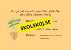 Växternas liv - Häfte - Årskurs 3 - 6