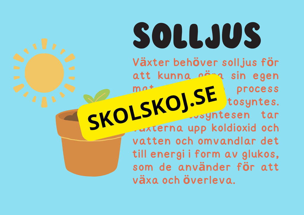 Växternas liv - Häfte - Årskurs 3 - 6