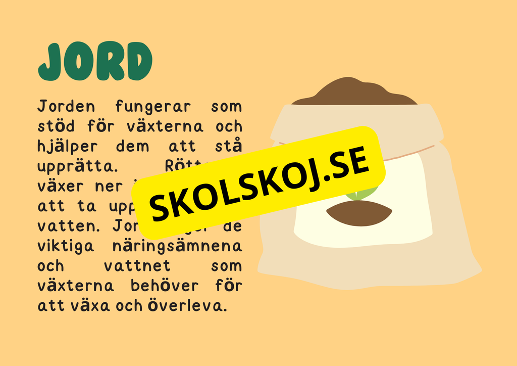 Växternas liv - Häfte - Årskurs 3 - 6