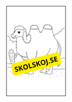 Vilda djur målarbok