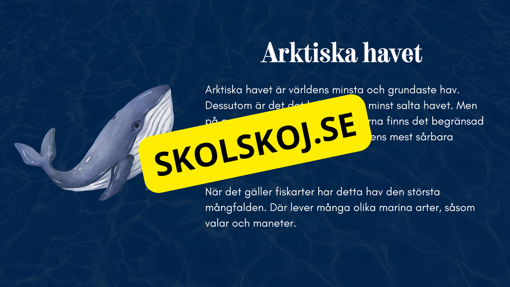Vilka är de fem världshaven? Läsförståelse + frågor
