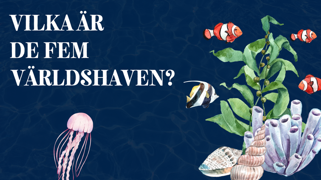 Vilka är de fem världshaven? Läsförståelse + frågor