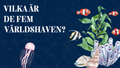 Vilka är de fem världshaven? Läsförståelse + frågor