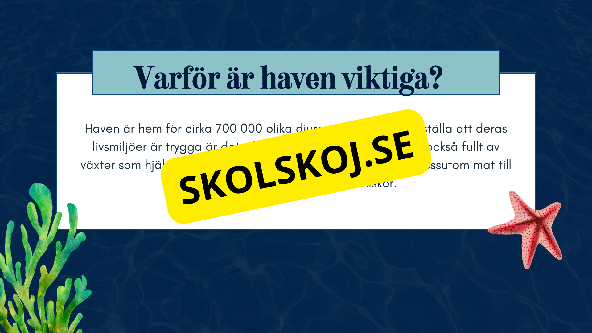 Vilka är de fem världshaven? Läsförståelse + frågor