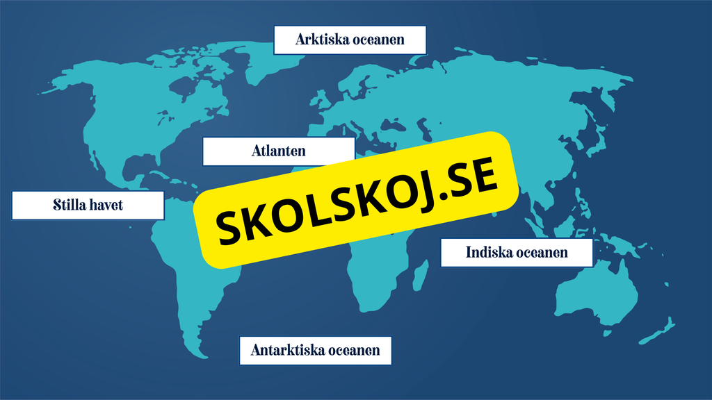 Vilka är de fem världshaven? Läsförståelse + frågor