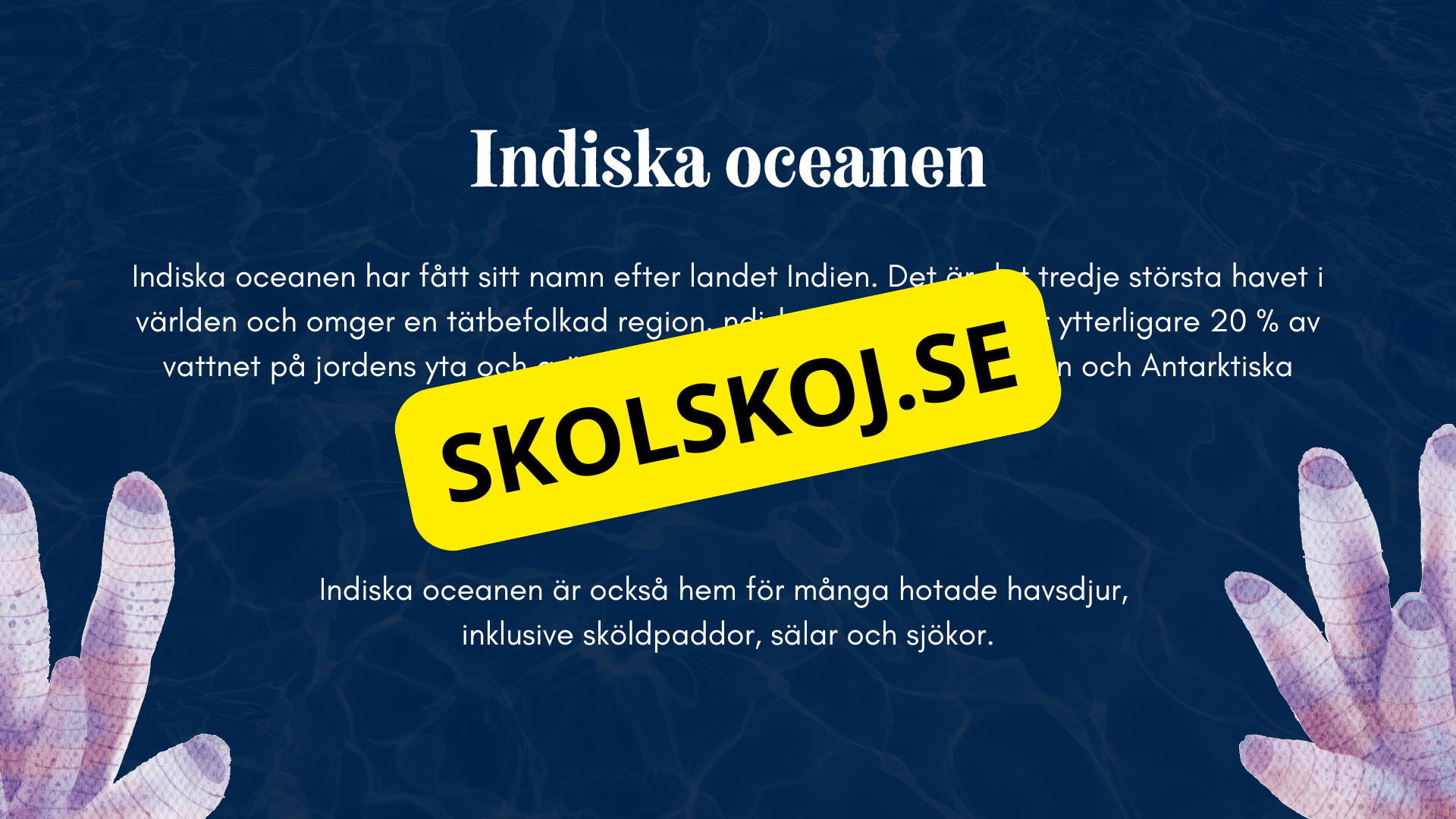 Vilka är de fem världshaven? Läsförståelse + frågor