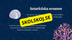 Vilka är de fem världshaven? Läsförståelse + frågor