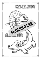 Viltliv - Målarbok