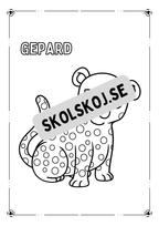 Viltliv - Målarbok