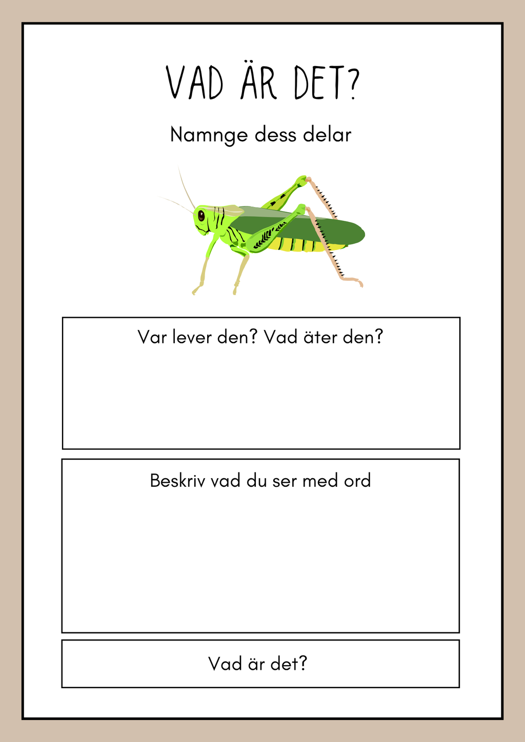 Vad är det? - Insekter - Faktabok