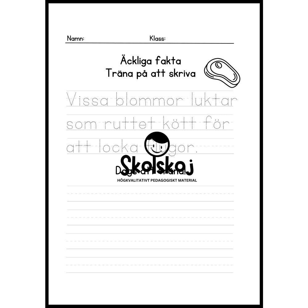 Äckliga fakta - Träna på att skriva