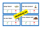 Ja eller nej frågor - Flashkort