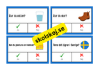 Ja eller nej frågor - Flashkort