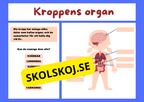 Kroppens organ