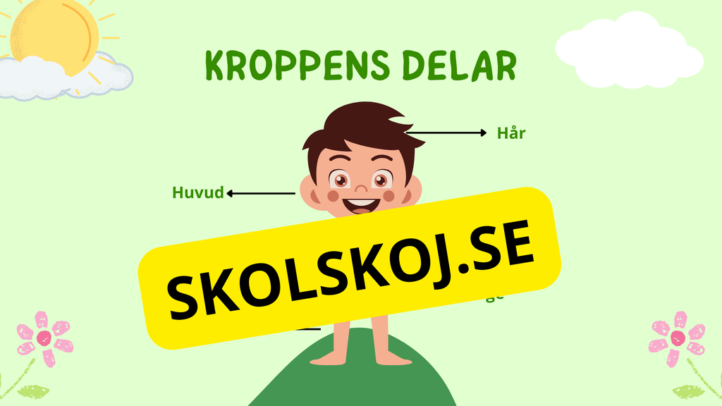 Kroppens delar - Presentation och arbetsblad