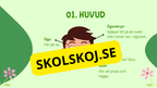 Kroppens delar - Presentation och arbetsblad