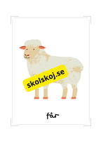 Min djurgård - Flashkort