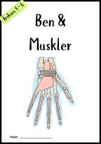 Ben och muskler - Årskurs 4 - 6