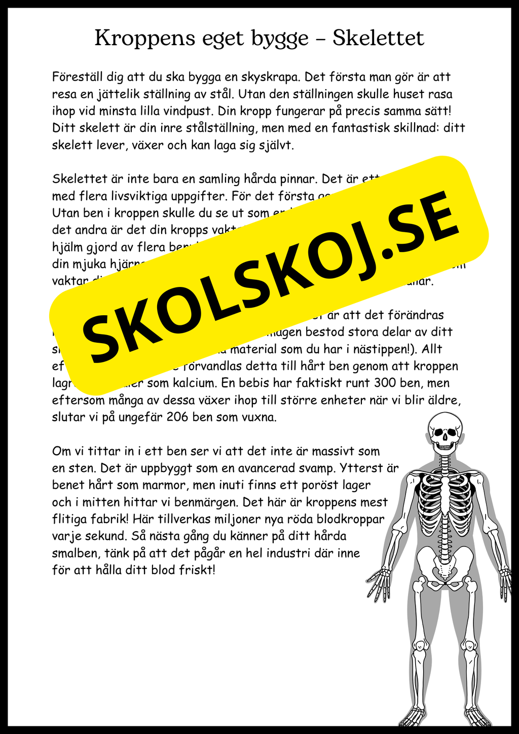 Ben och muskler - Årskurs 4 - 6