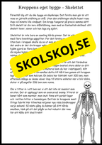 Ben och muskler - Årskurs 4 - 6
