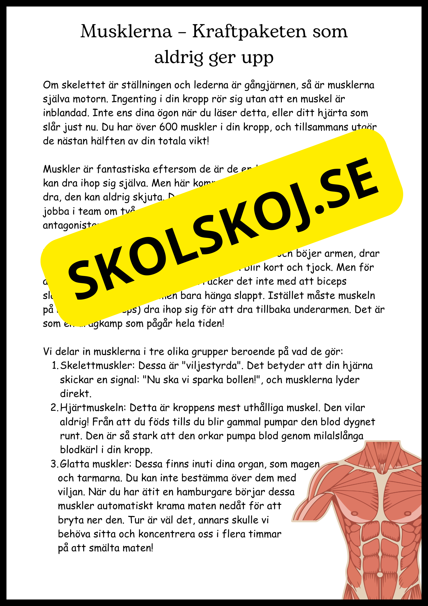 Ben och muskler - Årskurs 4 - 6