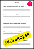 Ben och muskler - Årskurs 4 - 6