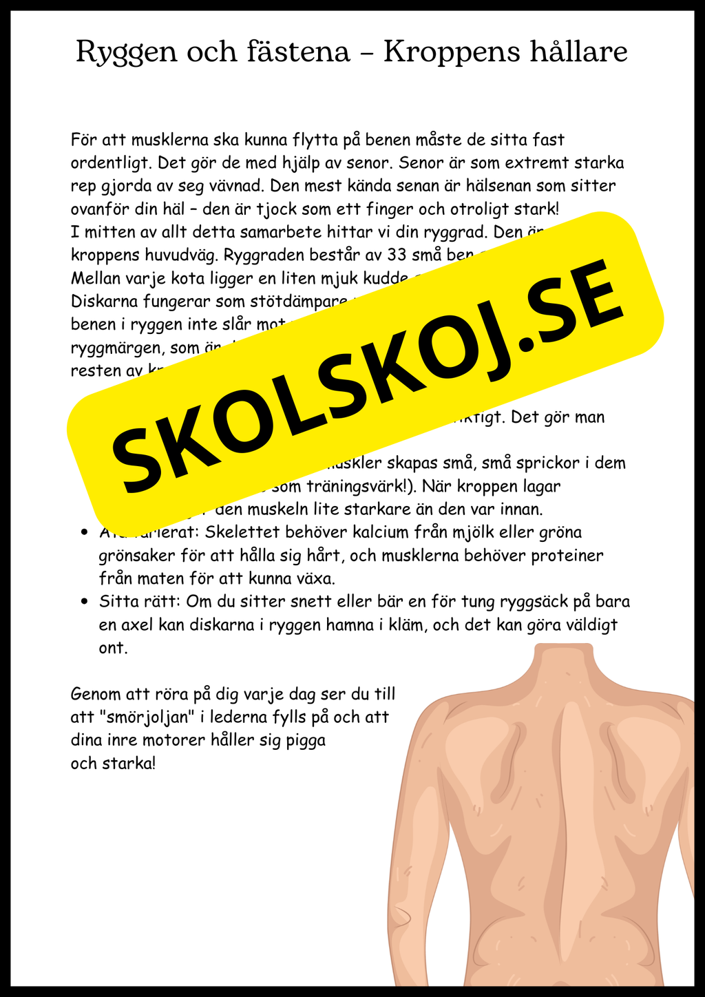 Ben och muskler - Årskurs 4 - 6