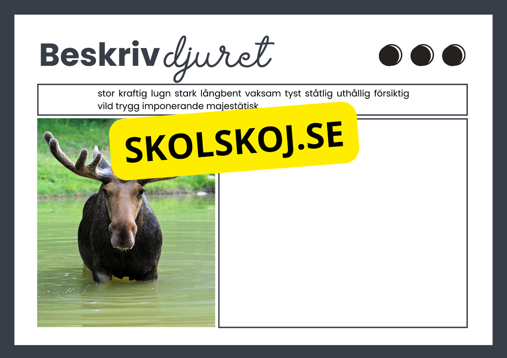 Beskriv djuret - Häfte