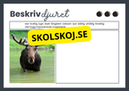 Beskriv djuret - Häfte