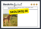 Beskriv djuret - Häfte