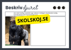 Beskriv djuret - Häfte