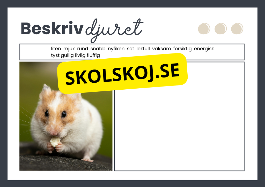Beskriv djuret - Häfte