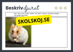 Beskriv djuret - Häfte
