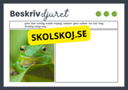 Beskriv djuret - Häfte