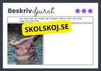 Beskriv djuret - Häfte