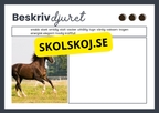 Beskriv djuret - Häfte