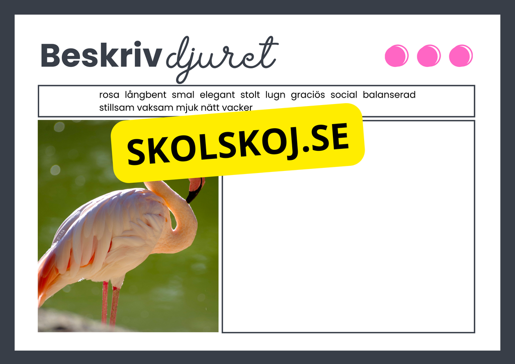 Beskriv djuret - Häfte
