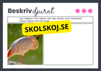 Beskriv djuret - Häfte