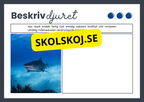 Beskriv djuret - Häfte