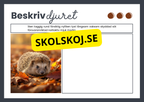 Beskriv djuret - Häfte