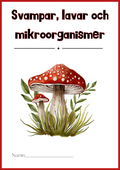 Svampar lavar och mikroorganismer - Årskurs 4 - 6