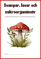 Svampar lavar och mikroorganismer - Årskurs 4 - 6