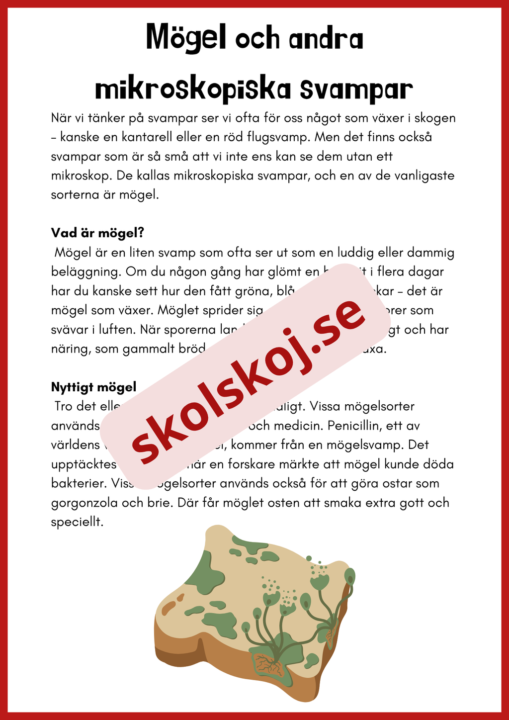 Svampar lavar och mikroorganismer - Årskurs 4 - 6