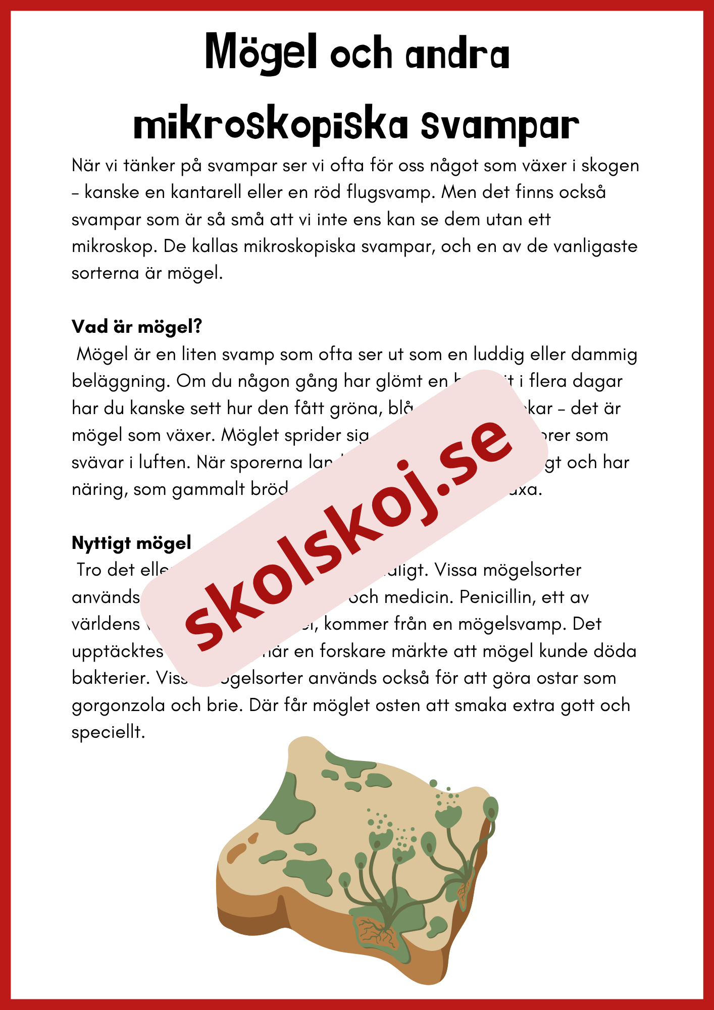 Svampar lavar och mikroorganismer - Årskurs 4 - 6