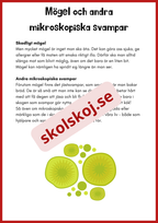 Svampar lavar och mikroorganismer - Årskurs 4 - 6
