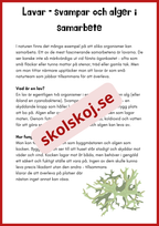 Svampar lavar och mikroorganismer - Årskurs 4 - 6