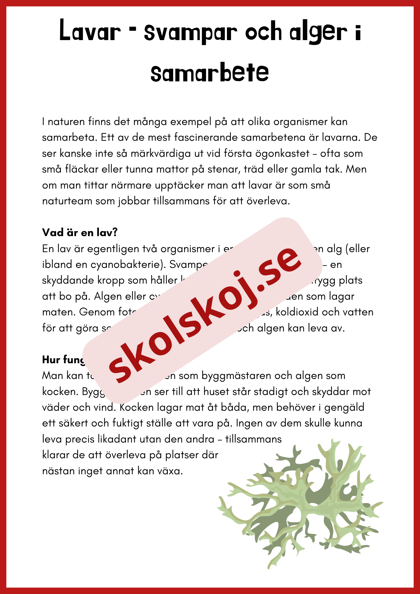 Svampar lavar och mikroorganismer - Årskurs 4 - 6